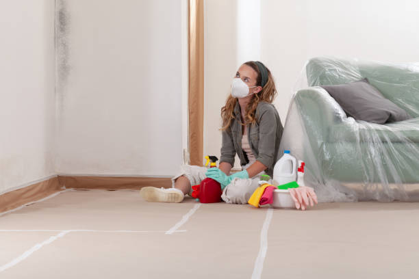 Reliable Mold Remediation contractor in Greenville, TX by 24 Hour Mold Removal